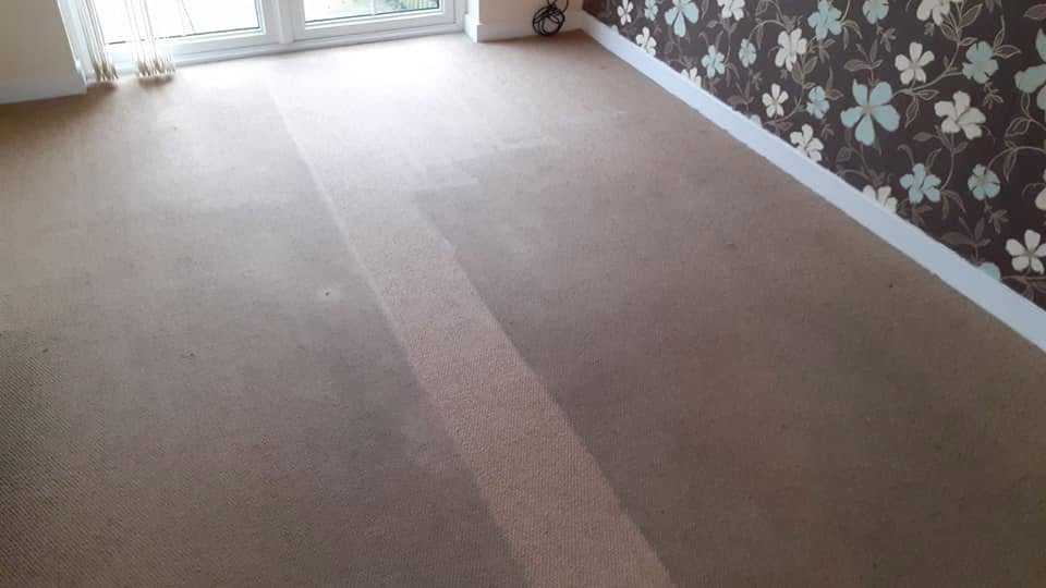 The same carpet before cleaning