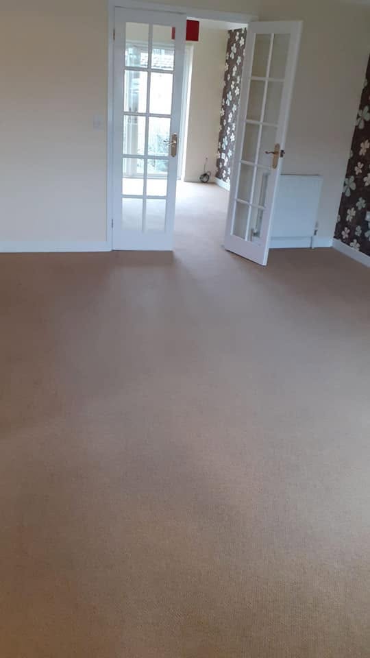 Carpet after AppleKleen cleaned it